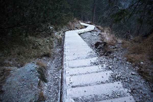 Escalera de madera cubierta de escarcha en las altas montañas Tatras — Foto de Stock