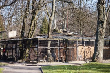 Bahar 'da Kaliningrad Hayvanat Bahçesi 'nde kuşlar için kafesler.