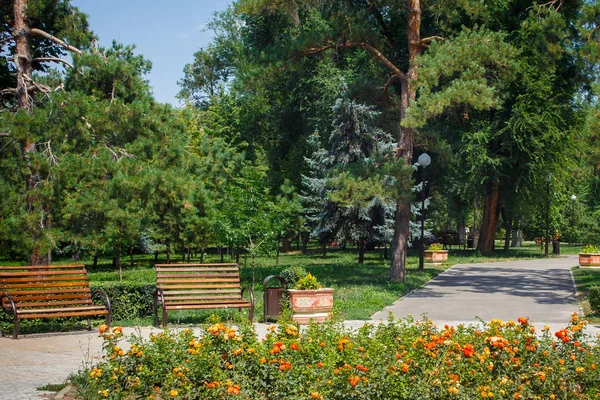 Вид на лавках в 28 Panfilov міський парк в Алмати — стокове фото