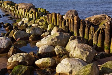 Baltık Denizi kıyısında eski Alman ahşap dalgakıran.