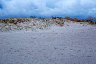 Akşam Parnu körfezinin kumlu kıyısının görünümü.