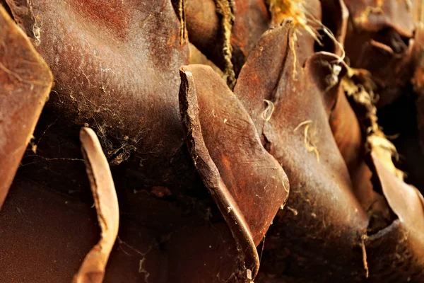 Rusted pieces of torn metal. — Stock Photo, Image