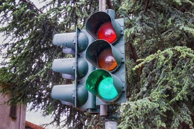 Arka planda yeşil ağaç dalları olan şehir trafik ışıklarının görüntüsü.