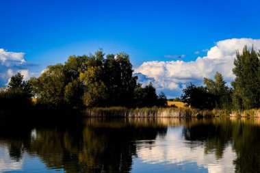 Göl ve ormanlı güzel bir manzara.