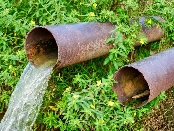 Çürümüş bir borudan yeşil pirinç tarlasına akan su, çiftçilerin kırsal bölgedeki tarımsal alanlarda ürünlerini beslemek için kullandıkları basit ama temel sulama sistemini gösteriyor.