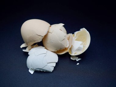 Yüksek çözünürlüklü kırık parçalı tavuk yumurta kabuğu resmi, koyu arka planda izole edilmiş, yiyecek atıkları, gübre ve organik yaşam temaları için mükemmel