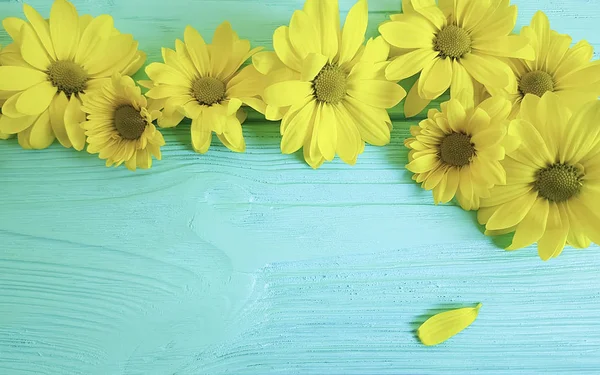 Flores Amarelas Fundo Madeira Azul — Fotografia de Stock