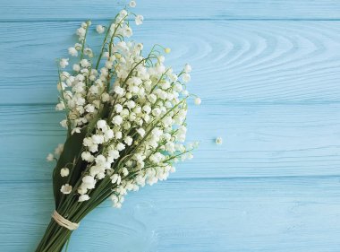 Lily vadi mavi ahşap arka plan üzerinde