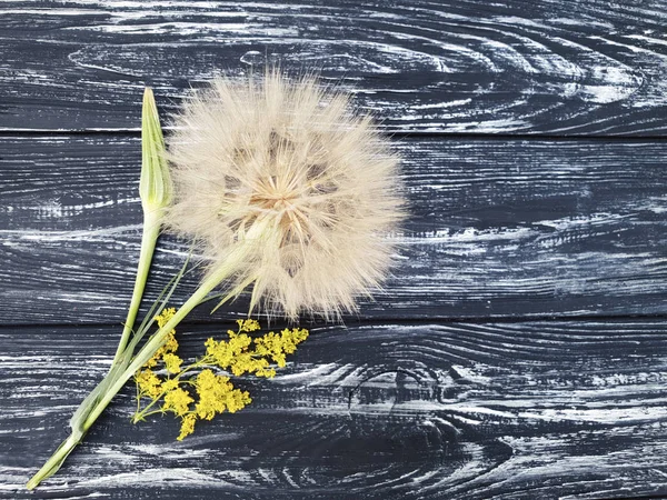 Dandelion Wooden Background — Stock Photo, Image