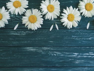 koyu ahşap arka plan üzerinde papatya