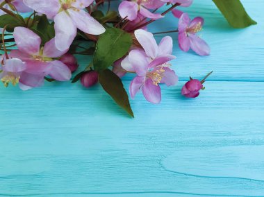 Manolya çiçek ahşap arka plan üzerinde