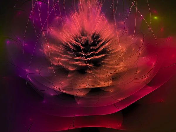 Flower Abstract Fractal Beautiful — Stock Photo, Image