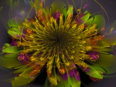 Fraktal soyut çiçek, güzel, dijital