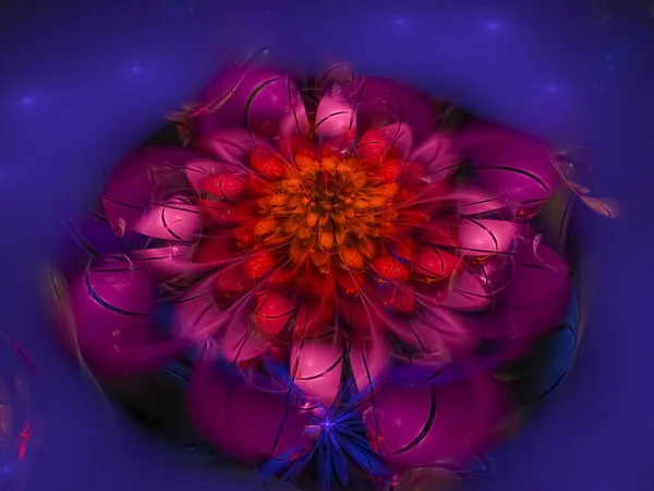 Φράκταλ Αφηρημένη Λουλούδι Ψηφιακή — Φωτογραφία Αρχείου