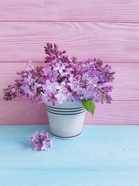 mavi bir ahşap zemin üzerine eflatun çiçek dalı vazo