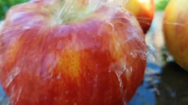 Μήλο Κόκκινο Ρέει Νερό Αργή Κίνηση — Αρχείο Βίντεο