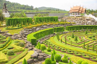 6 Mayıs 2011, Tayland Pattaya tropikal Park Nong Nooch, güzel bahçe