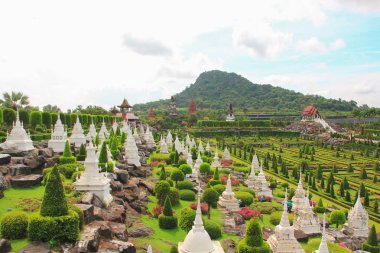 6 Mayıs 2011, Tayland Pattaya tropikal Park Nong Nooch, güzel bahçe