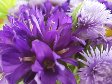 buket krizantem, bell closeup, sonbahar