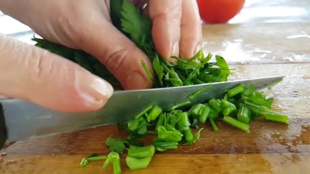 Salsa Cortada Com Uma Faca Uma Placa Madeira Tiro Câmera — Vídeo de Stock