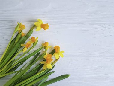 Beyaz ahşap çerçeve arka plan üzerinde nergis çiçek