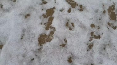 deniz kıyısında dalga sahne