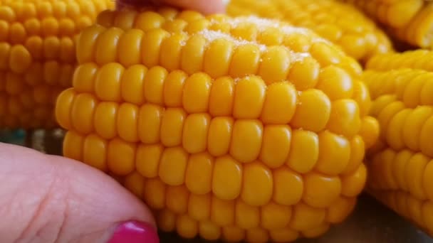 Sprinkle Corn Salt Slow Motion — Stock Video