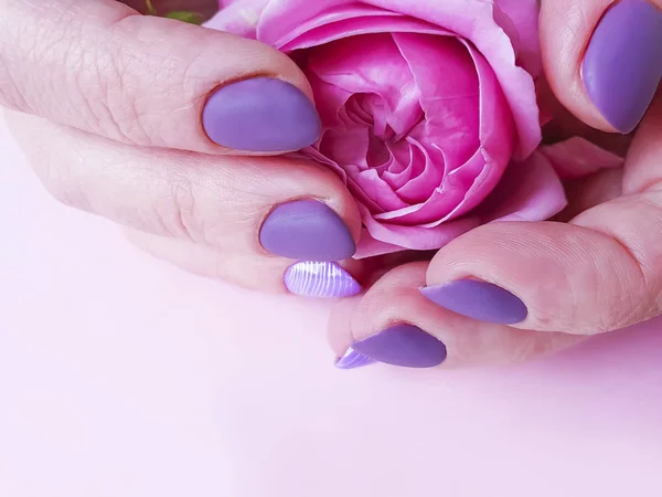 Mãos Femininas Manicure Roxo Rosa Flor — Fotografia de Stock