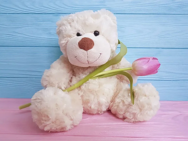 Boneka Bunga Tulip Pada Latar Belakang Kayu — Stok Foto