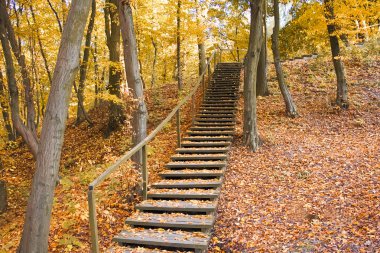 sonbahar park orman sarı yapraklar manzara, merdiven