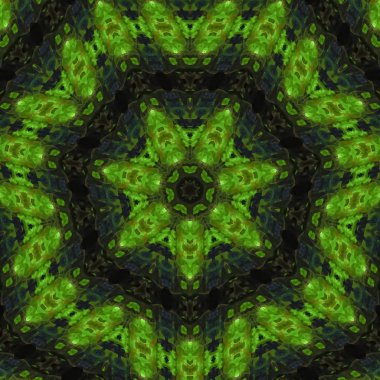 Soyut Dijital fraktal, güzel tasarım, mandala