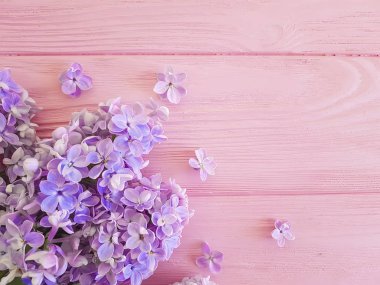 Leylak çiçeği pembe ahşap arka plan üzerinde