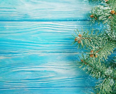 Noel ağacı dalı mavi ahşap arka plan, kar üzerinde