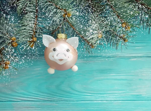Noel Oyuncak Domuz Bir Ahşap Arka Plan Kar Ağaç Dalı — Stok fotoğraf