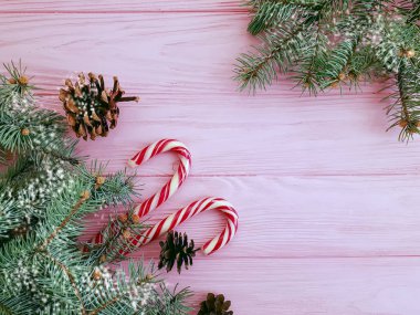 Noel ağacı dalı, şeker pembe ahşap arka plan üzerinde