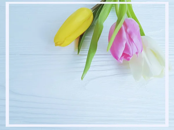 Bouquet Fresh Tulips White Wooden Background — Stock Photo, Image