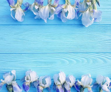 İris mavi ahşap arka plan üzerinde güzel çiçek