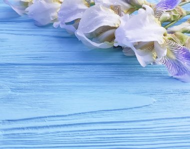 İris mavi ahşap arka plan üzerinde güzel çiçek