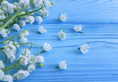 lily vadi mavi ahşap arka plan üzerinde Şubesi