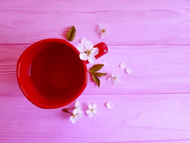 çay, ahşap bir pembe çiçek kiraz