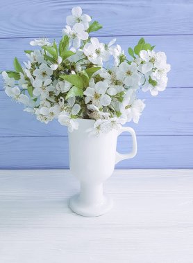 ahşap arka plan üzerinde kiraz vazo çiçek açan, bahar