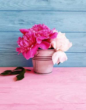 ahşap arka plan üzerinde bir vazoda güzel çiçek açan şakayık