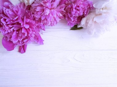 ahşap arka plan üzerinde güzel çiçek açan şakayık