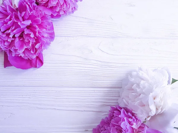 Hermosa Peonía Flor Sobre Fondo Madera — Foto de Stock