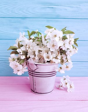 ahşap arka plan üzerinde bir vazoda kiraz çiçekleri