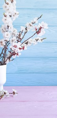 ahşap arka plan üzerinde bir vazoda kiraz çiçekleri