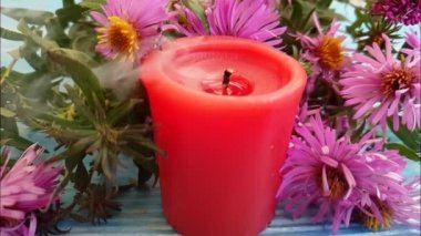 mum çiçeği krizantem ağır çekim