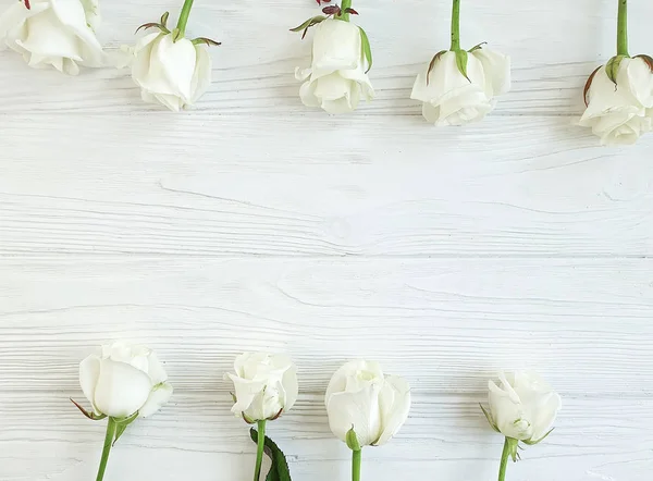 Красиві Троянди Білому Дерев Яному Фоні Рамки — стокове фото
