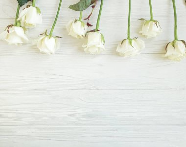 Beyaz ahşap arka plan karesinde güzel güller