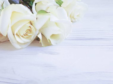 Beyaz ahşap arka plan karesinde güzel güller